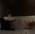 
                        Kavya
                     is Female Escorts. | Toronto | Ontario | Canada | EscortsLiaison