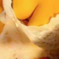  is Female Escorts. | Galveston | Texas | United States | EscortsLiaison