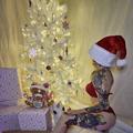 
                        Octavia Rae
                     is Female Escorts. | Grande Prairie | Alberta | Canada | EscortsLiaison