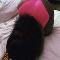 is Female Escorts. | Philadelphia | Pennsylvania | United States | EscortsLiaison