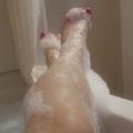  is Female Escorts. | Charlotte | North Carolina | United States | EscortsLiaison