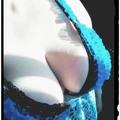  is Female Escorts. | Edmonton | Alberta | Canada | EscortsLiaison