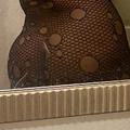  is Female Escorts. | Savannah | Georgia | United States | EscortsLiaison