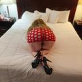  is Female Escorts. | Monterey | California | United States | EscortsLiaison