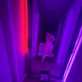 
                        Caterina Coxx
                     is Female Escorts. | Grande Prairie | Alberta | Canada | EscortsLiaison