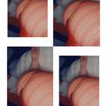  is Female Escorts. | Cookeville | Tennessee | United States | EscortsLiaison