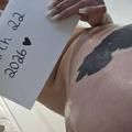 
                        Chanella
                     is Female Escorts. | Quebec City | Quebec | Canada | EscortsLiaison