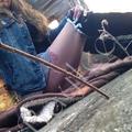 
                        Baylee Shots
                     is Female Escorts. | Skeena | British Columbia | Canada | EscortsLiaison
