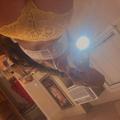  is Female Escorts. | Manchester | New Hampshire | United States | EscortsLiaison