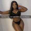 
                        Mayssa
                     is Female Escorts. | Hamilton | Ontario | Canada | EscortsLiaison