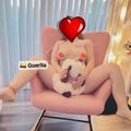  is Female Escorts. | Reno | Nevada | United States | EscortsLiaison