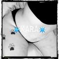  is Female Escorts. | Muncie | Indiana | United States | EscortsLiaison