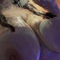 
                        Bell
                     is Female Escorts. | Winnipeg | Manitoba | Canada | EscortsLiaison