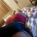  is Female Escorts. | Indianapolis | Indiana | United States | EscortsLiaison