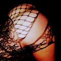  is Female Escorts. | Tampa | Florida | United States | EscortsLiaison