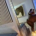  is Female Escorts. | Asheville | North Carolina | United States | EscortsLiaison