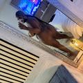  is Female Escorts. | Asheville | North Carolina | United States | EscortsLiaison