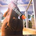  is Female Escorts. | Houston | Texas | United States | EscortsLiaison