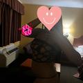  is Female Escorts. | Tyler | Texas | United States | EscortsLiaison