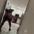  is Female Escorts. | Ocala | Florida | United States | EscortsLiaison