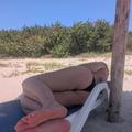 
                        Heather Heartwell
                     is Female Escorts. | Hamilton | Ontario | Canada | EscortsLiaison
