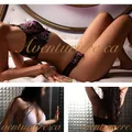 
                        Aventurière
                     is Female Escorts. | Trois Rivieres | Quebec | Canada | EscortsLiaison