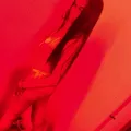 is Female Escorts. | Longview | Texas | United States | EscortsLiaison