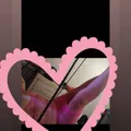 
                        Kiki
                     is Female Escorts. | Quebec City | Quebec | Canada | EscortsLiaison