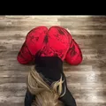  is Female Escorts. | Sudbury | Ontario | Canada | EscortsLiaison