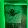  is Female Escorts. | Macon | Georgia | United States | EscortsLiaison