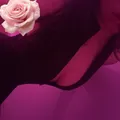  is Female Escorts. | San Jose | California | United States | EscortsLiaison