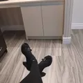 
                        (no deposits)
                     is Female Escorts. | belleville | Ontario | Canada | EscortsLiaison