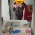  is Female Escorts. | Edmonton | Alberta | Canada | EscortsLiaison