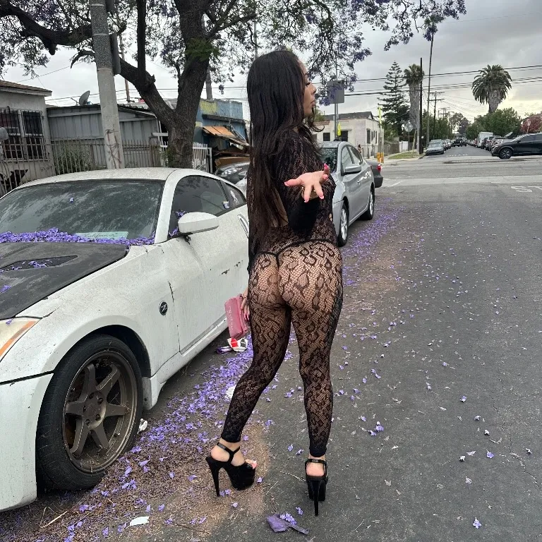  is Female Escorts. | Las Vegas | Nevada | United States | EscortsLiaison