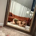  is Female Escorts. | Augusta | Georgia | United States | EscortsLiaison
