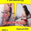  is Female Escorts. | Minneapolis / St. Paul | Minnesota | United States | EscortsLiaison
