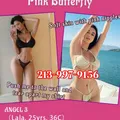  is Female Escorts. | Minneapolis / St. Paul | Minnesota | United States | EscortsLiaison