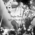 
                        Baylee Shots
                     is Female Escorts. | Cariboo | British Columbia | Canada | EscortsLiaison